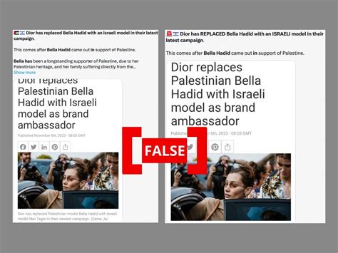 does dior support israel or palestine|Fact check: Dior did not drop Bella Hadid for supporting Palestine .